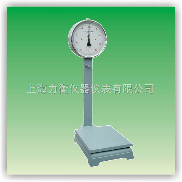 TTZ-100机械指针度盘秤