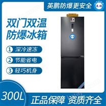 珠海双温防爆冰箱300L 双门立式冷藏冰柜