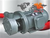旋涡泵：1W系列直连式单级旋涡泵